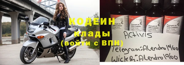 прущие грибы Балахна