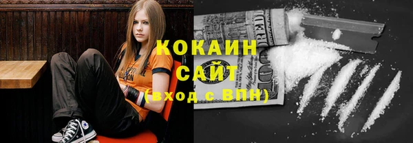 прущие грибы Балахна