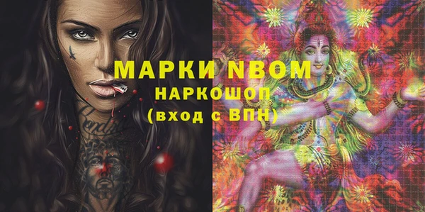 прущие грибы Балахна