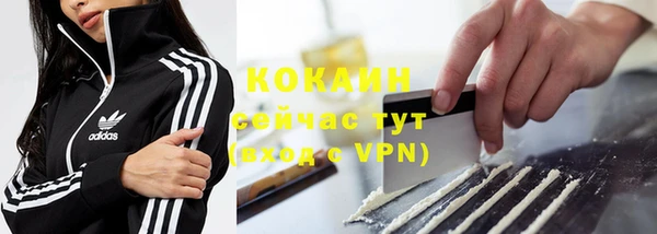 прущие грибы Балахна