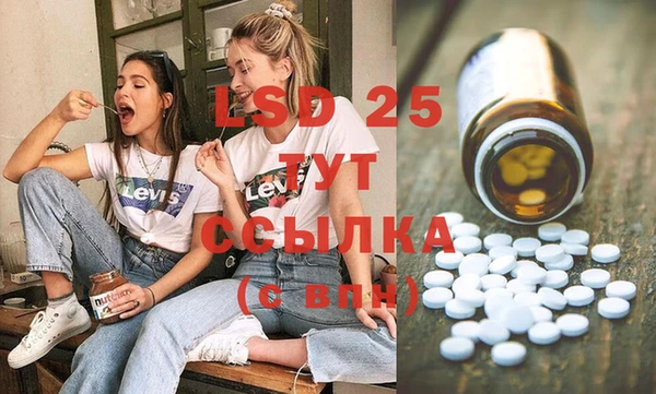 прущие грибы Балахна