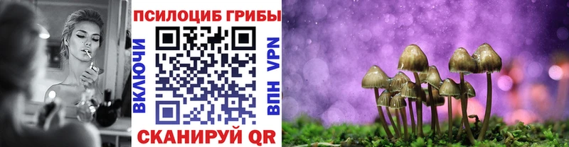 Псилоцибиновые грибы Cubensis  Галич 